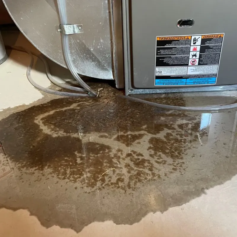 Pipe Burst and Leak Restoration in Frederick, MD